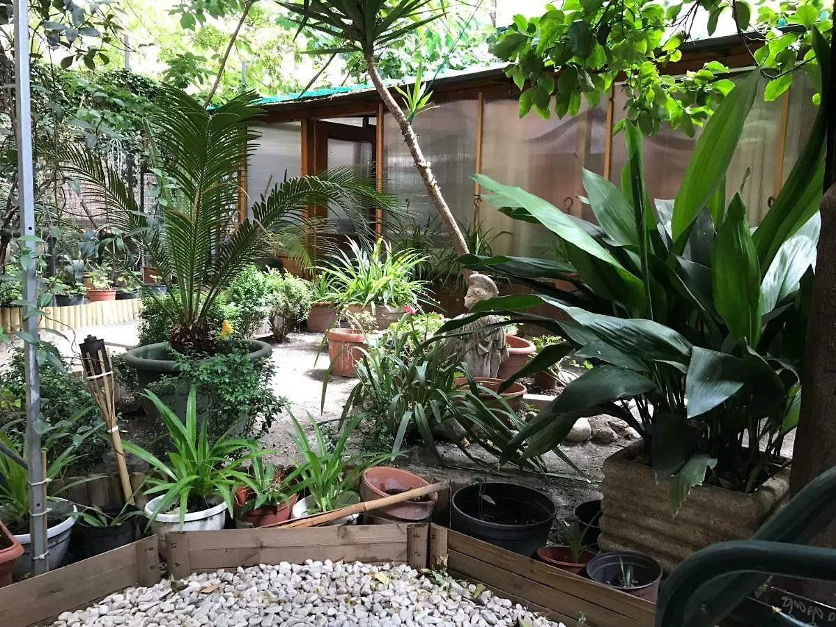 Hotel La Casa Di Elena Rom Gasthof